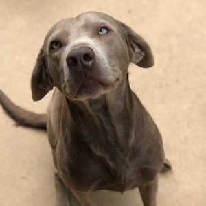 Meet your Posher, Alana